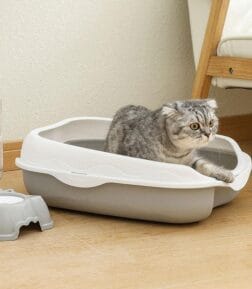 Semi-Closed Spatter-Proof Cat Litter Box with Large Space and Anti-Splash Pedal