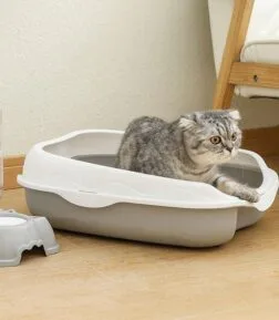 Semi-Closed Spatter-Proof Cat Litter Box with Large Space and Anti-Splash Pedal