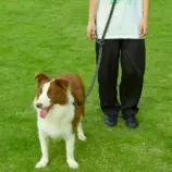 50535-3db311e0b8afbc0ee57351224f1fdfb6.webp