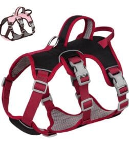 Waterproof Breathable Harness