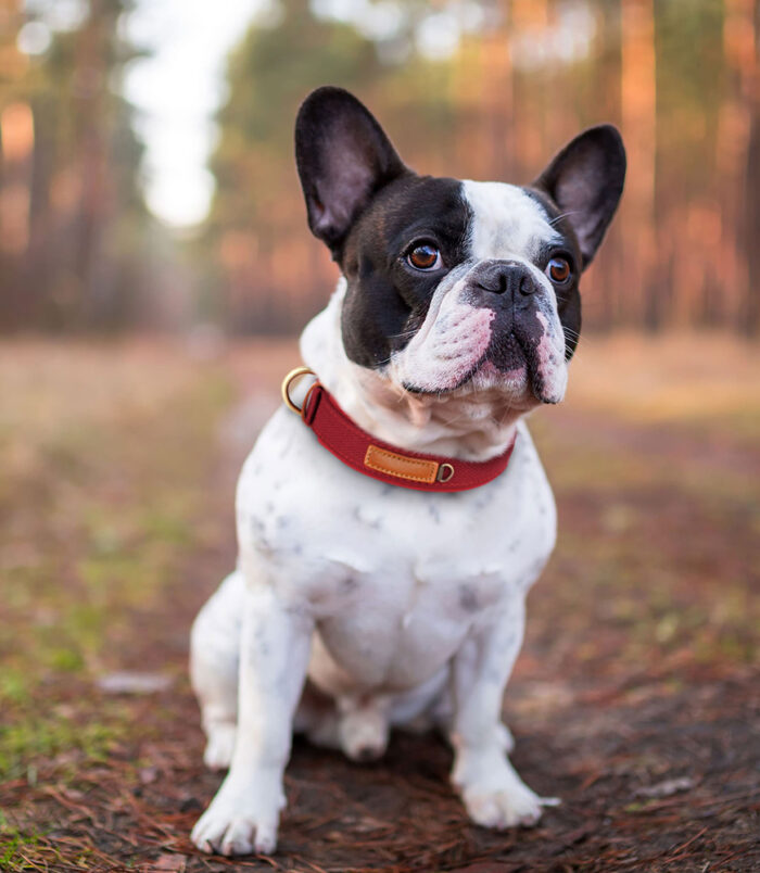 50570-6230eacc8c7284c53f7db360b77e3d90.jpg 50570-6230eacc8c7284c53f7db360b77e3d90.jpg