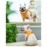50759-e7d2096d0e611f09741d4677678598e0.webp