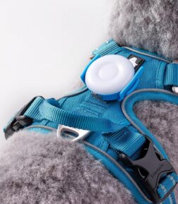 USB Rechargeable LED Dog Light