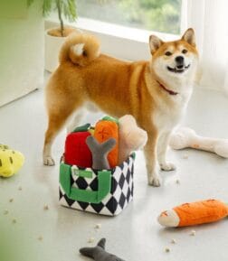 Interactive Plush Dog Snuffle Toy Set