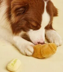 Food-Shaped Squeaky Dog Toy