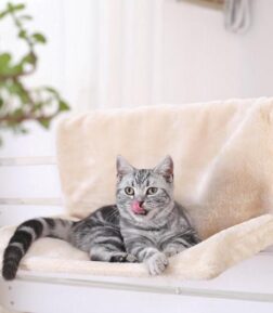Warm Cat Hammock Bed