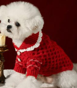 Cozy Winter Pet Sweater
