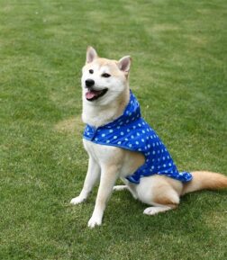 Portable Waterproof Dog and Cat Raincoat