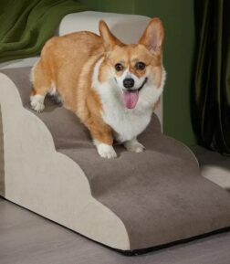 Anti-Slip Dog Stairs
