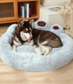 Luxury Breathable Dog Bed