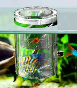 Acrylic Floating Fish Breeding Isolation Box