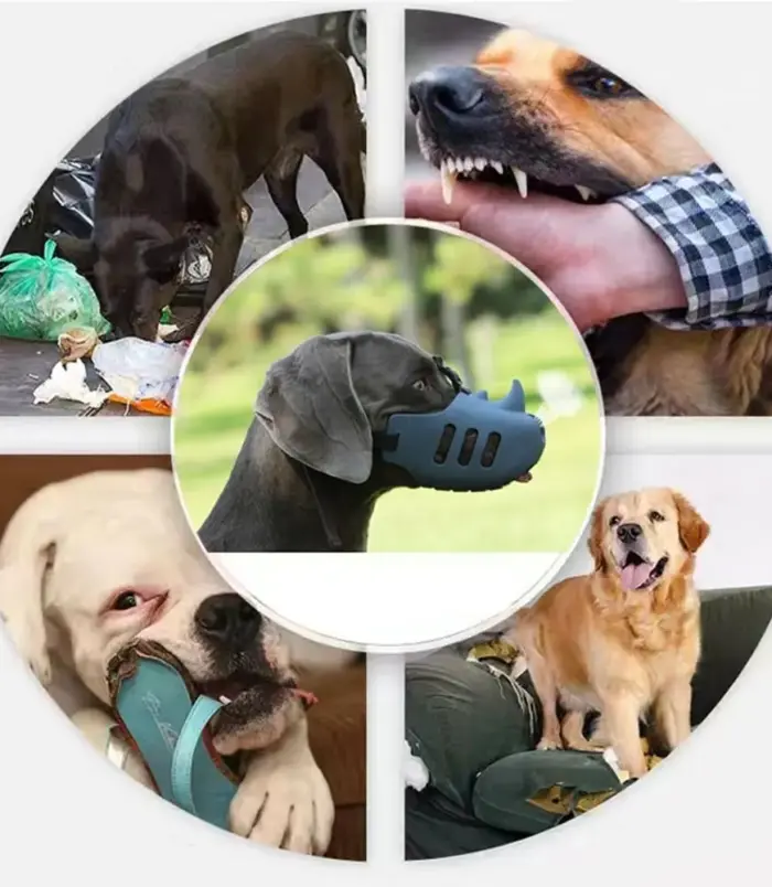 5aedbfffedbdd0516603f4c4910926aa.webp 5aedbfffedbdd0516603f4c4910926aa.webp