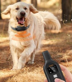 Electric Dog Training Collar