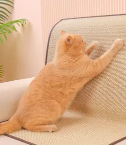 Deluxe Cat Sofa Scratcher