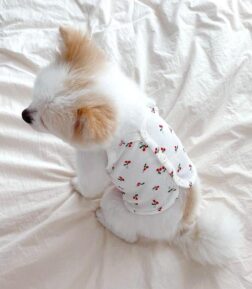 Cherry Print Dog Vest