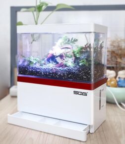 Self-Circulating Mini Fish Tank with USB Charging Filter