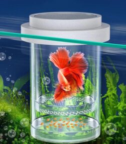 Suspension Aquarium Breeding Box