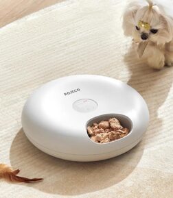 6-Meal Automatic Pet Feeder for Cats