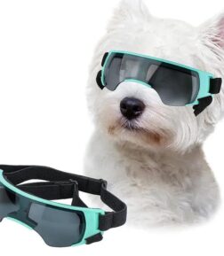 Small Dog Sunglasses