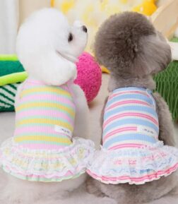 Striped Dog Dress