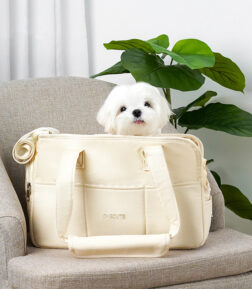 Portable One-Shoulder Pet Carrier Bag