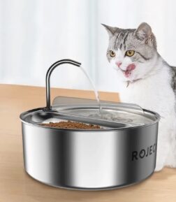 2 in 1 Pet Feeder Water Dispenser