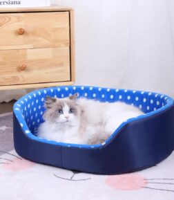 Cozy Cat Bed and Mat