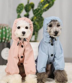 Waterproof Dog Raincoat