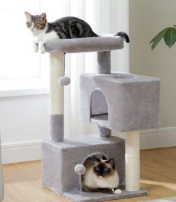 80CM Cat Tower with Double Condo & Large Perch