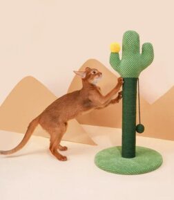 Cactus Cat Scratching Post with Ball