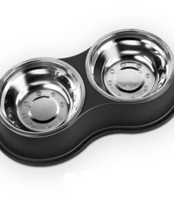Stainless Steel Anti-Slip Pet Bowls Set
