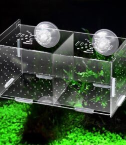 Acrylic Guppy Breeding Box
