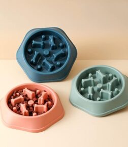 Slow Feeder Dog Bowl