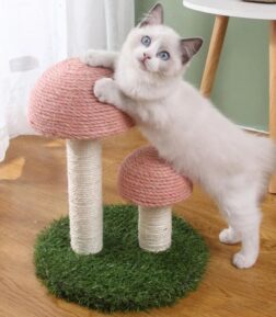 Deluxe Mushroom Cat Climbing Frame & Scratch Post