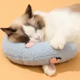 7fb1208c993889477674c06f19c186d6.webp