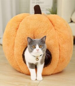 Pumpkin-Shaped Winter Dog Bed