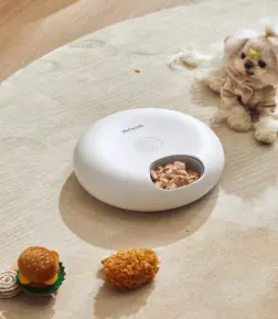 Smart 6-Meal Automatic Pet Feeder for Cats: Timed Food Dispenser for Wet and Dry Food
