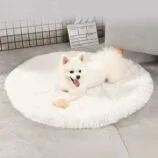 861a93d034150c00c3433c0a2096ae3d.jpg