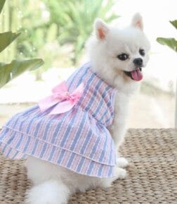 Summer Striped Butterfly Dog Skirt