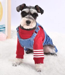 Denim Dog Jumpsuit