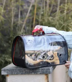 Portable Clear Pet Travel Cage