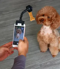 Pet Selfie Stick with Adjustable Neck