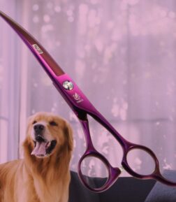 Professional 7.5 Inch Curved Grooming Scissors - JP440C Stainless Steel for Pet Grooming