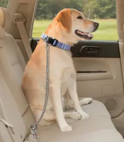 Adjustable Metal Pet Seat Belt Leash