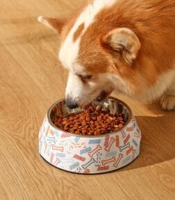 Anti-Tipping Stainless Steel Pet Food and Water Bowl