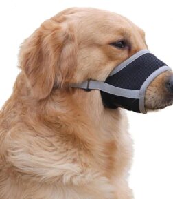 Comfortable Dog Muzzles for Anti-Biting, Barking, and Chewing