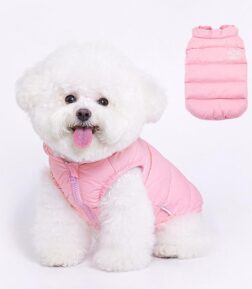 Winter Down Jacket for Dogs