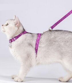 Cat H-Shape Harness and Leash Set