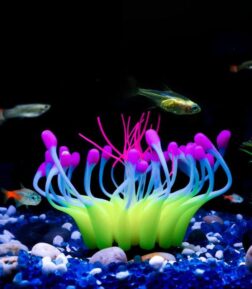 Aquarium Glowing Coral Effect Silicone Decoration