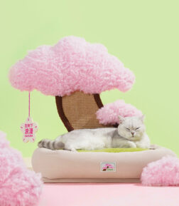 Cherry Blossom Cat Scratching Bed
